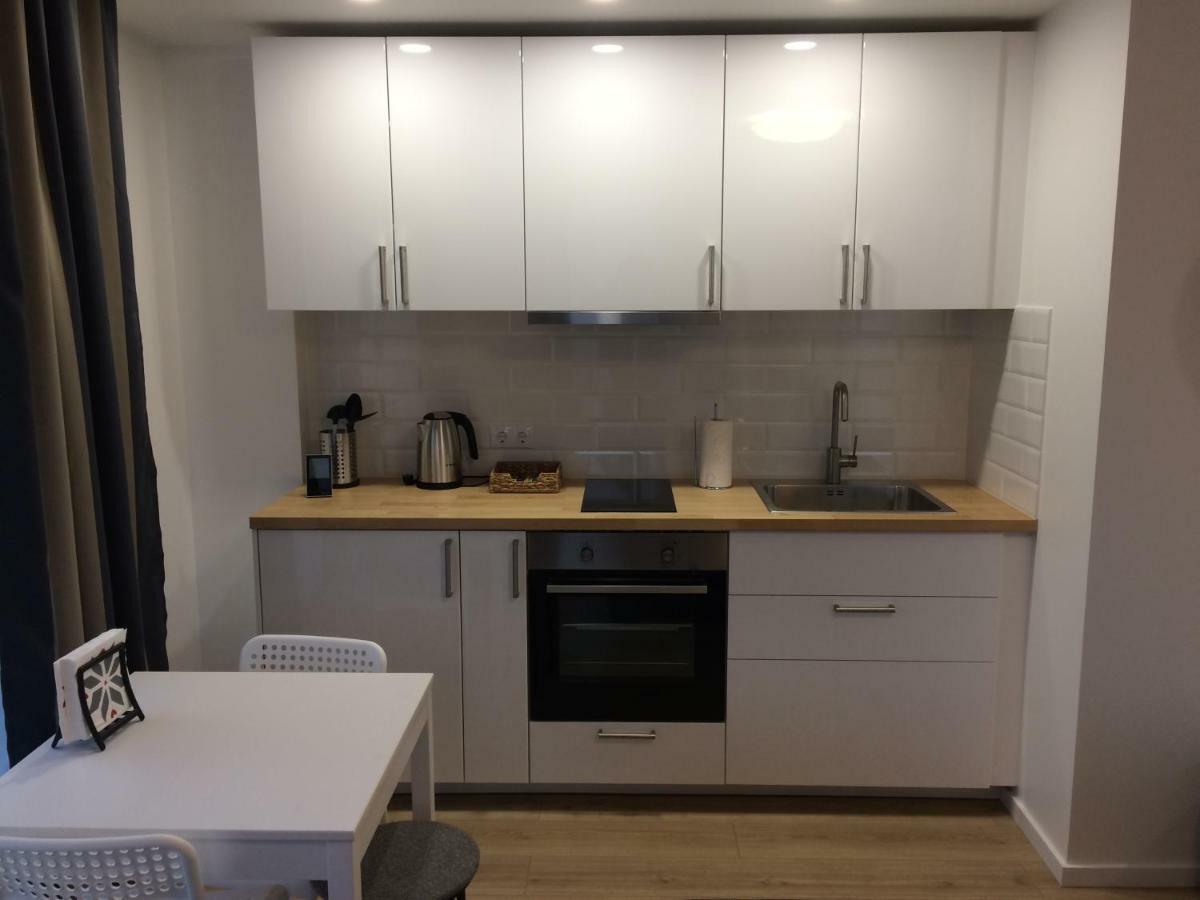 וילנה Elegant Apartment Close To The Old Town מראה חיצוני תמונה