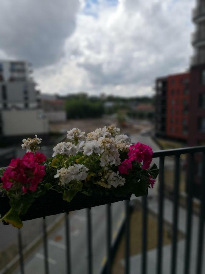 וילנה Elegant Apartment Close To The Old Town מראה חיצוני תמונה